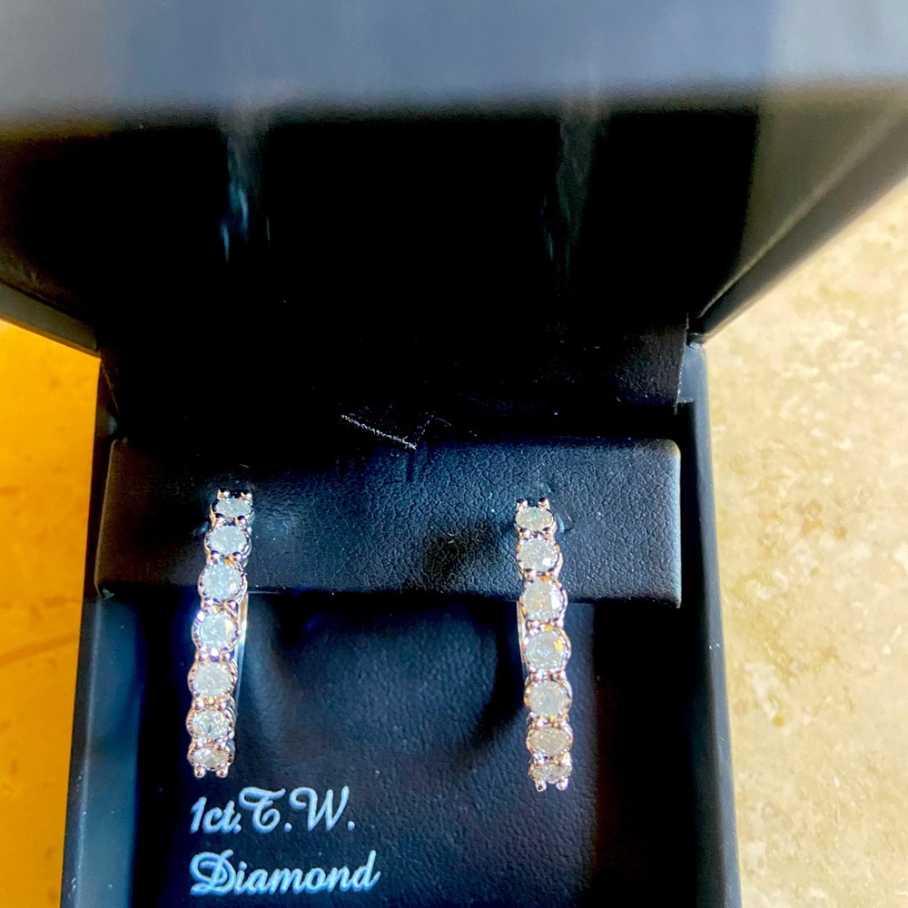 1ct.T.W. Diamond hoops in Sterling Silver